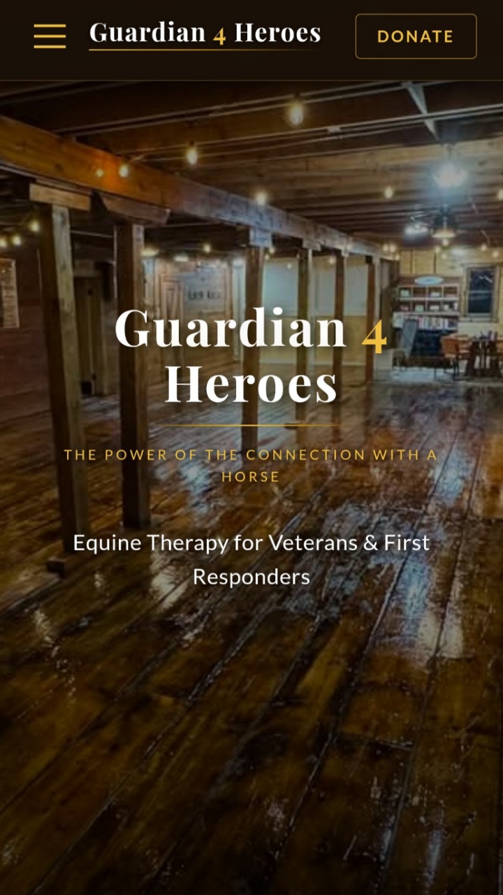 Guardian 4 Heroes website hero section