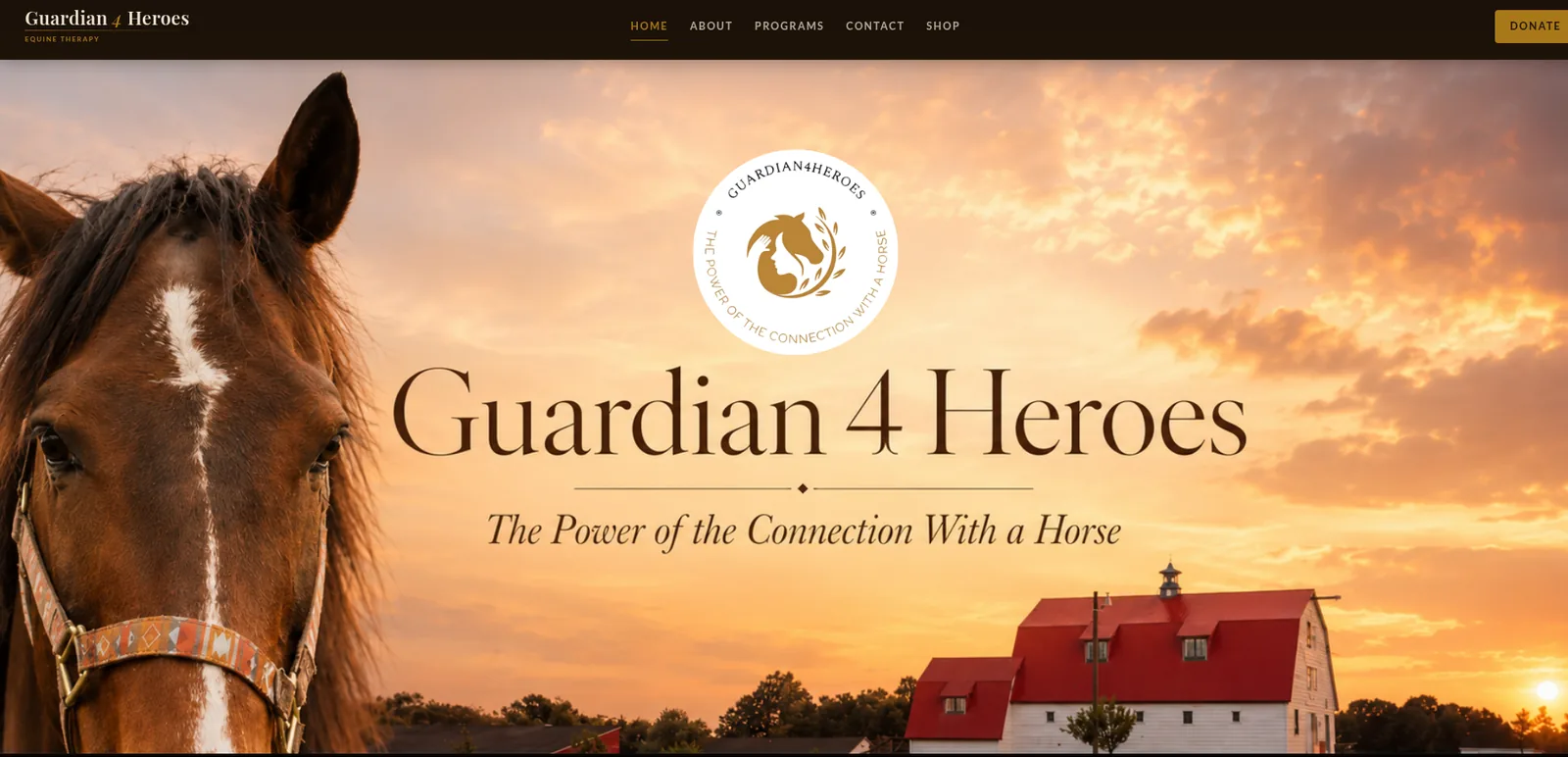 Guardian 4 Heroes: Homepage hero, desktop view