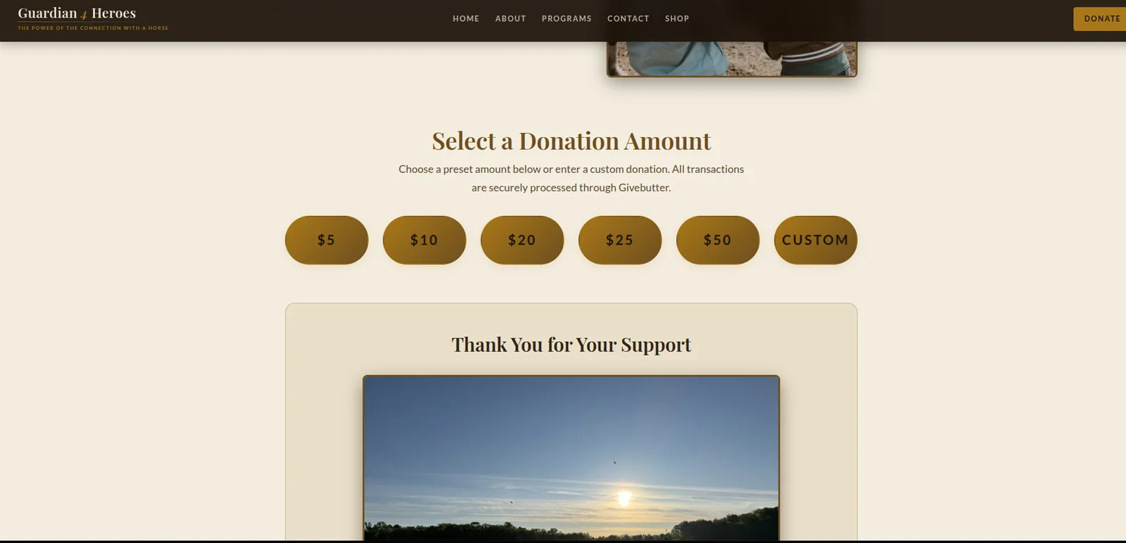 Guardian 4 Heroes: Donation page, desktop view
