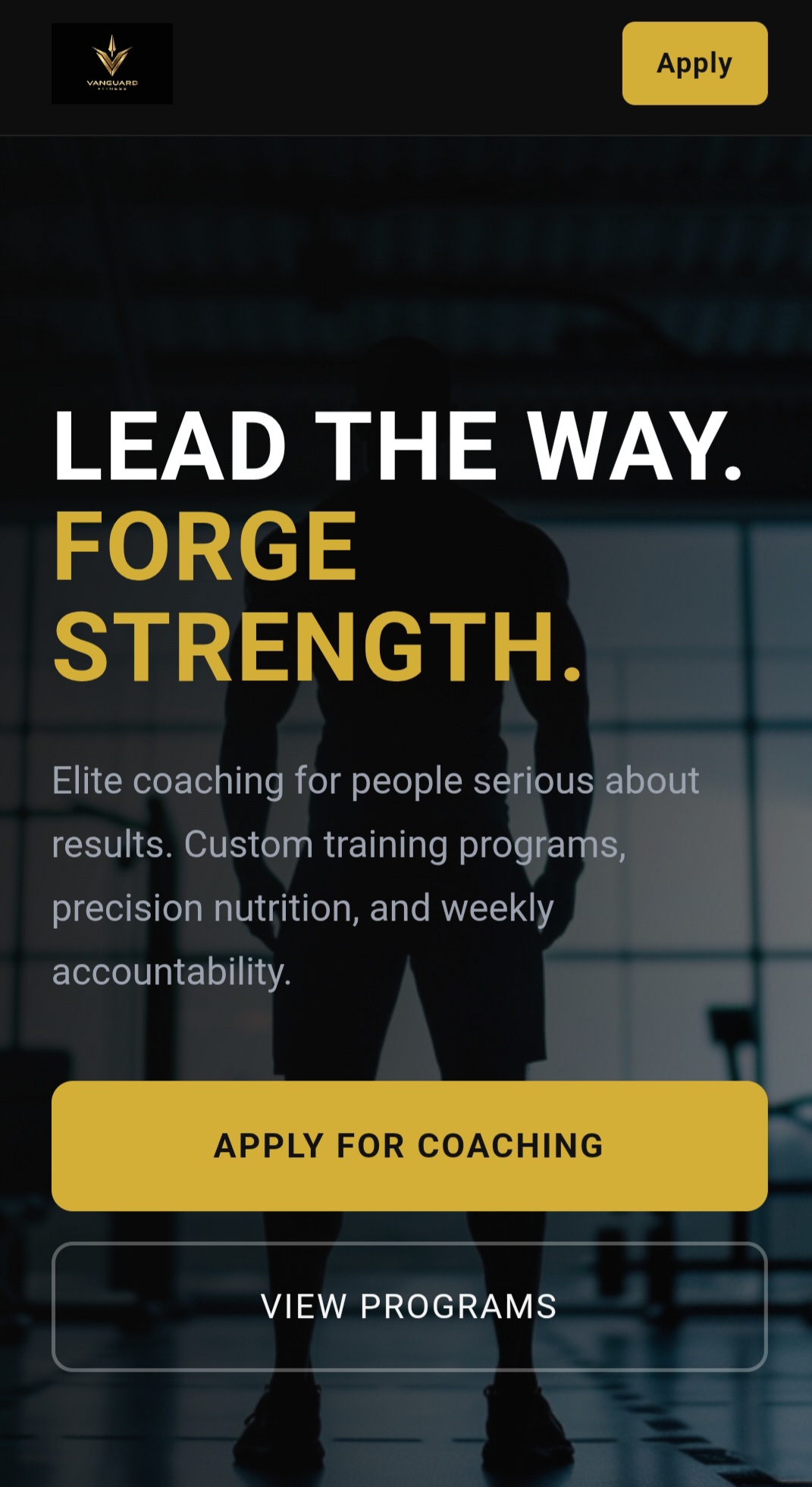 Vanguard Fitness landing page hero