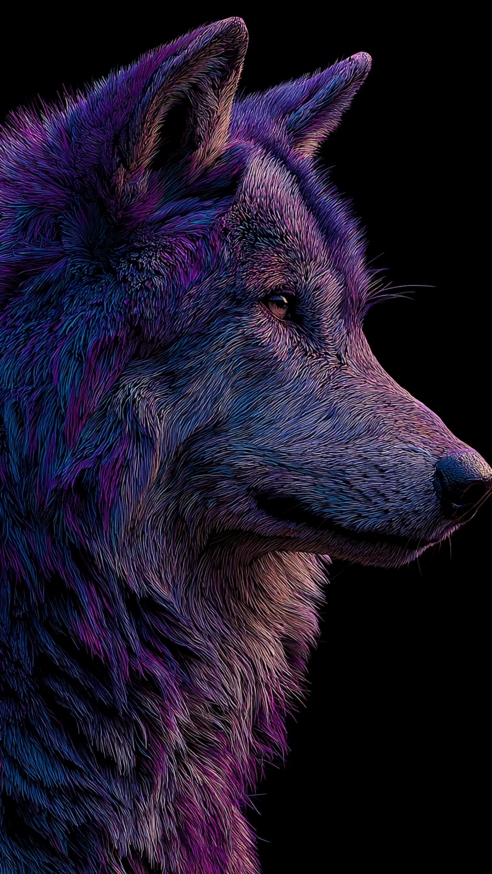 Digital wallpaper art - wolf 1